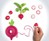 Ravanello - Mario Mushroom Radish Shaper Ravanello - Mario Mushroom Radish Shaper