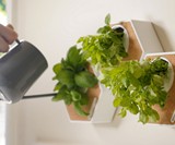 Noku Canvas Modular, Self-Watering Planter
