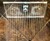 Clear Shower XL Transparent Shower Head Clear Shower XL Transparent Shower Head