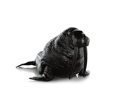 The Animal Chair Collection-6259