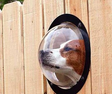 Pet Peek Dog Window