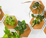 Noku Canvas Modular, Self-Watering Planter