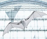 Festo BionicFlyingFox