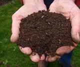 Recompose Human Body Composting Service