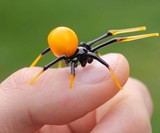 Glass Symphony Glass-Blown Spiders