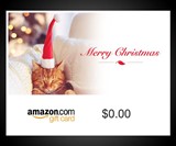 Amazon.com E-Gift Cards