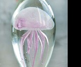 Real Glowing Jellyfish Sculptures