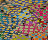 Clemens Habicht's Colour Puzzles