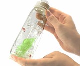Edamame Bottle-Cleaning Sponges