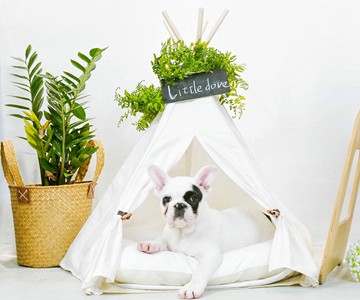 Pet Teepee Dog & Cat Bed Pet Teepee Dog & Cat Bed
