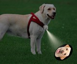 LED Dog Projector for Dog Collars
