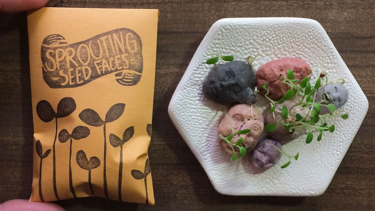 Sprouting Seed Faces - Plantable Paper & Edible Sprouts