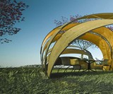 Armadillo Tea Canopy