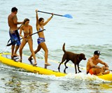 Paddleboard