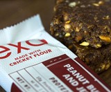 Exo Ground Cricket Protein Bars