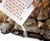 ECO-ST Pet & Eco-Friendly Starfish Extract Ice Melt ECO-ST Pet & Eco-Friendly Starfish Extract Ice Melt