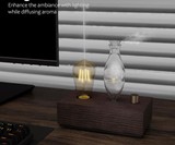 Edison Bulb Essential Oil Diffuser