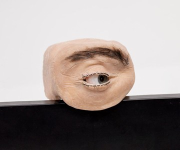 Eyecam Anthropomorphic Webcam Eyecam Anthropomorphic Webcam