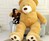 11-Foot Teddy Bear