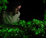 Bioluminescent Firefly Petunias