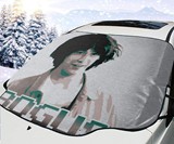 Keanu Reeves Bill & Ted Car Windshield Snow Cover
