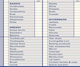 Pack This! Notepad