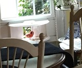 BestNest Clearview Window Bird Feeder