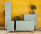 REALROOMS Metal Locker Storage Cabinets
