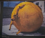 Crap Taxidermy - Stuffing Gone Wrong