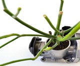 Recycled Motorcycle Carburetor Planter