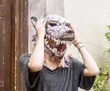 Game of Thrones 3D Masks & Wall Mounts