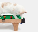 Meownooker Cat Billiards Toy