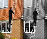 Luisladders Triple-Jointed Folding Ladder