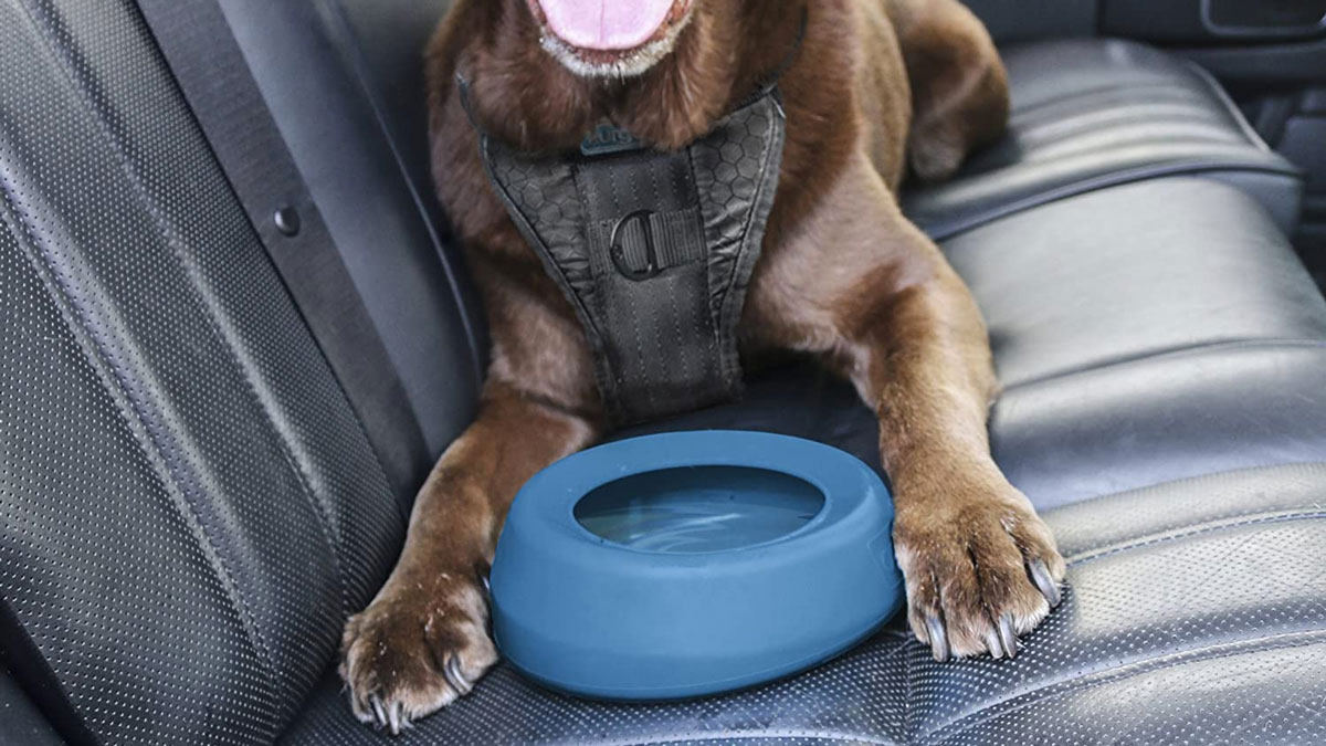 Kurgo No-Spill Travel Dog Water Bowl Kurgo No-Spill Travel Dog Water Bowl