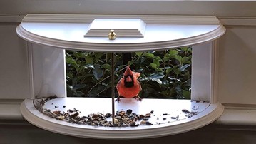 Clearview Window Bird Feeder