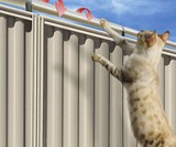 Oscillot Cat Containment System