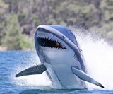 Seabreacher Shark X, Head-On View