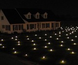 Lawn Lights