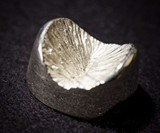 Solid Silver Anus