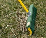 The Renegade Broom