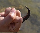 Eagle Claw Tactical Keychain Tool