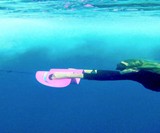 NautBoard Handheld Towable