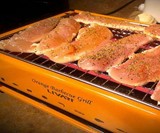 Livart Electric BBQ Grill