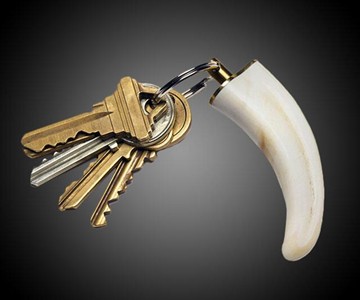 Warthog Tusk Keychain Warthog Tusk Keychain