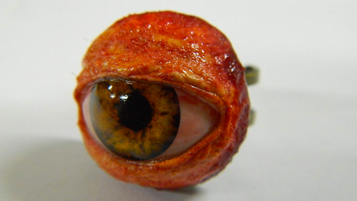 Life-Size Human Eyeball Ring Life-Size Human Eyeball Ring