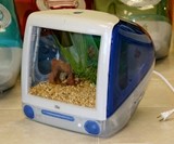 Macquarium
