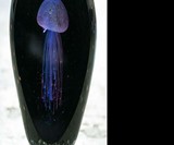 Real Glowing Jellyfish Sculptures