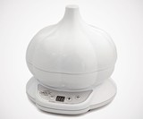 Todco Roasted Garlic Express Electric Roaster