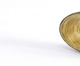 Ebeniste Bentwood Ring