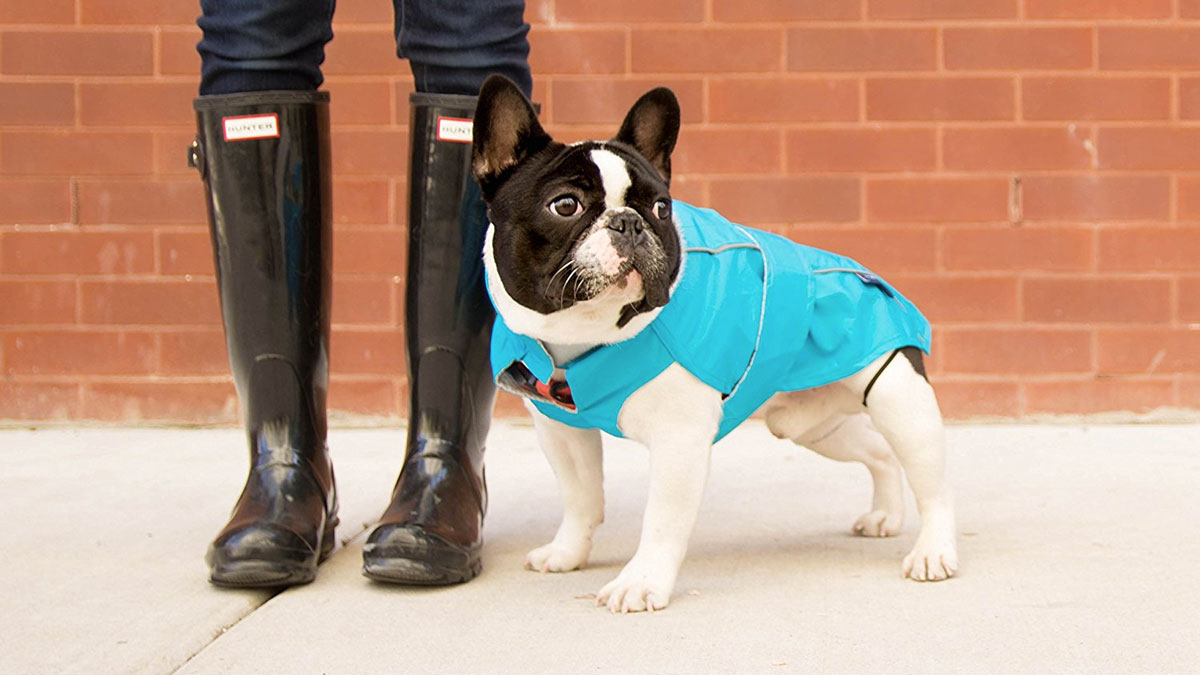 Django City Slicker Water-Repellent Dog Raincoat Django City Slicker Water-Repellent Dog Raincoat